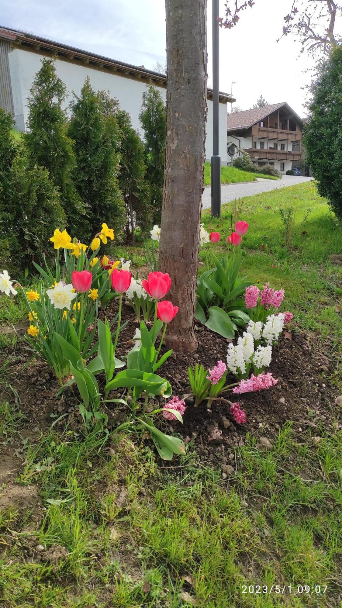 Ferienhaus Am Bach Achslach Bagian luar foto