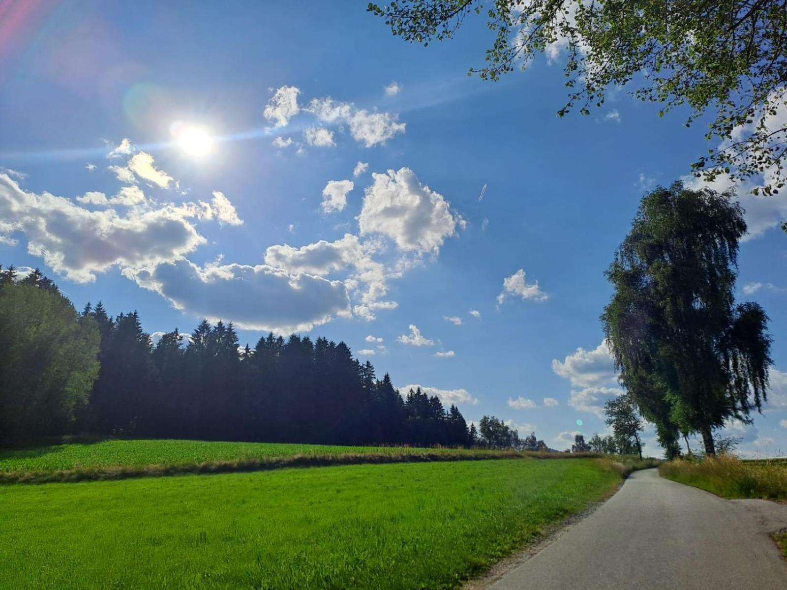Ferienhaus Am Bach Achslach Bagian luar foto