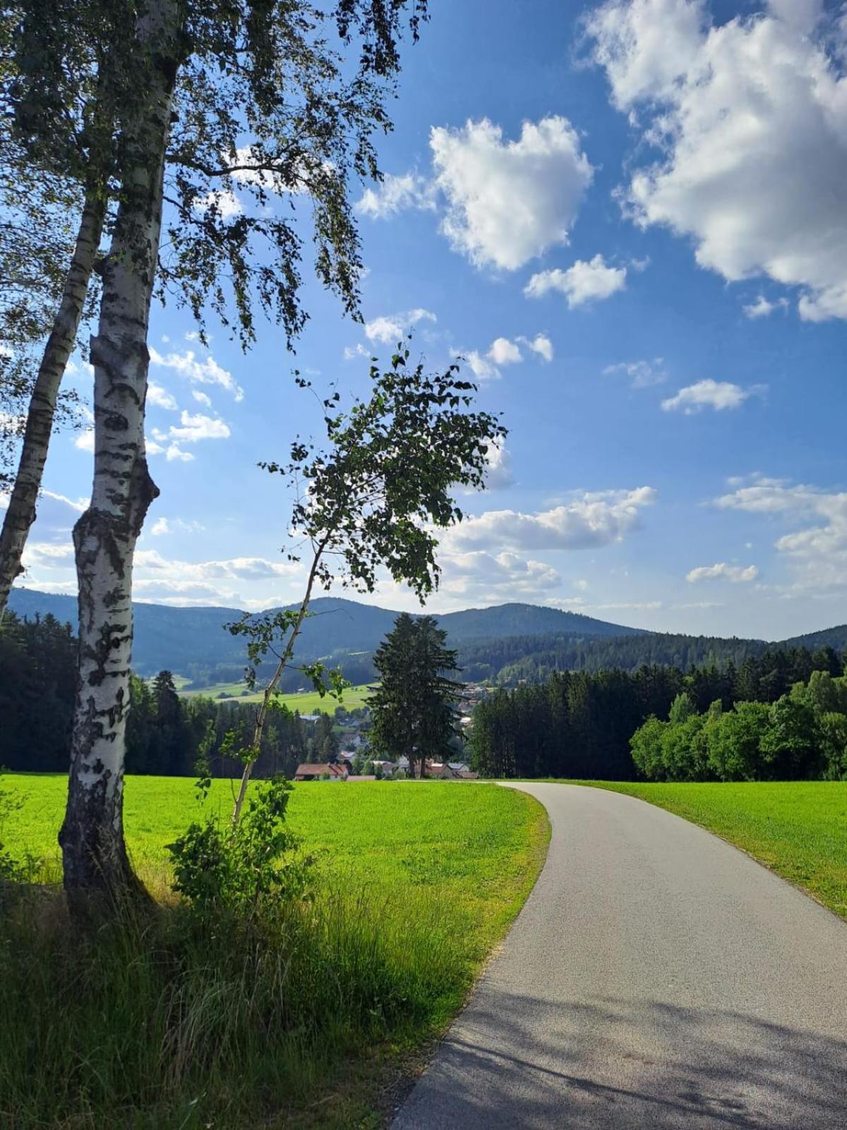 Ferienhaus Am Bach Achslach Bagian luar foto
