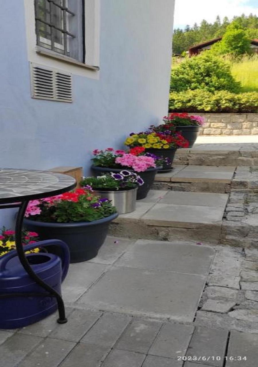 Ferienhaus Am Bach Achslach Bagian luar foto